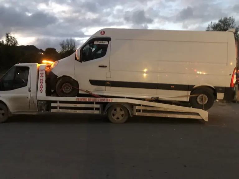 Gölköy – Aybastı Arasında Araç Taşıma